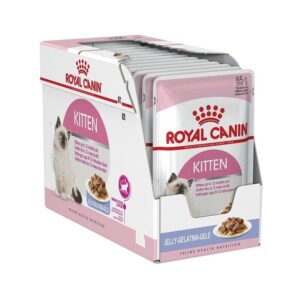 Custom cat food box with sturdy packaging design