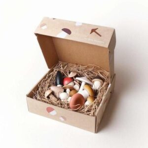 Custom mushroom box with sturdy packaging design
