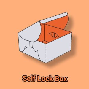 Self Lock Box for Secure Shipping UK